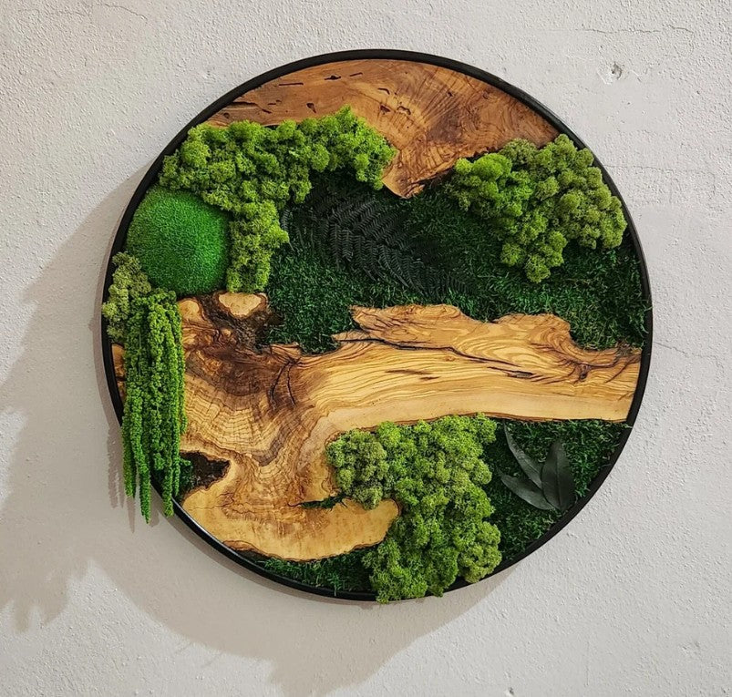 Nature's World - Round Moss Wall Art in Oak & Resin