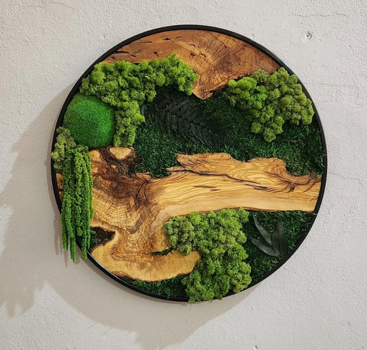 Nature's World - Round Moss Wall Art in Oak & Resin