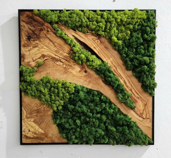 Forest's Window - Square Moss Wall Art in Oak & Resin